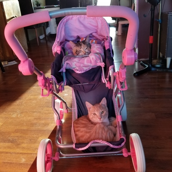 Meet your Posher, Amber - Picture 1 of 1